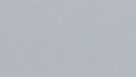 La actualización del software en cuestión se produce en un momento en que el duro clima invernal del Medio Oeste y la región occidental de los Grandes Lagos también están interrumpiendo los viajes.