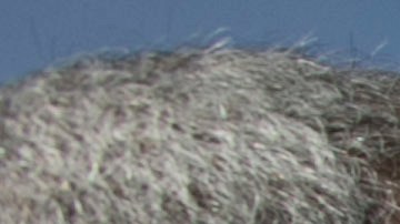 Alfredo Díaz, entonces alcalde opositor de Mariño, estrecha la mano de sus simpatizantes a su llegada a la Fiscalía General de la República en Porlamar, Isla de Margarita, Venezuela, el martes 13 de septiembre de 2016.