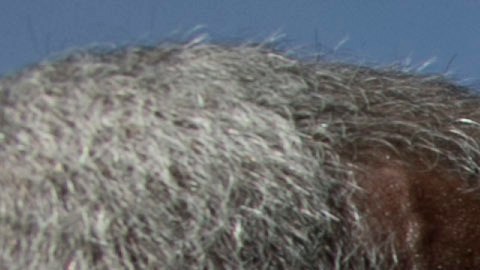 Alfredo Díaz, entonces alcalde opositor de Mariño, estrecha la mano de sus simpatizantes a su llegada a la Fiscalía General de la República en Porlamar, Isla de Margarita, Venezuela, el martes 13 de septiembre de 2016.