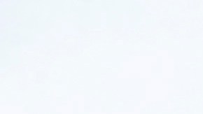 Se siguen reportando los indultos de Trump.