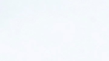 Se siguen reportando los indultos de Trump.