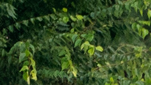 Los agentes del NYPD dijeron que están buscando a otras tres personas implicadas en el incidente.