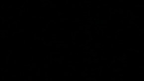 Orlando Portela, de JFCS Pittsburgh, señaló que el 84% de los niños sin abogados termina con órdenes de deportación.