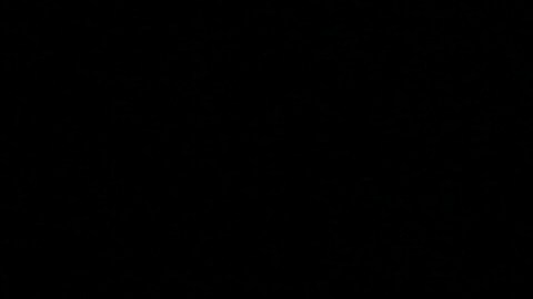 Orlando Portela, de JFCS Pittsburgh, señaló que el 84% de los niños sin abogados termina con órdenes de deportación.