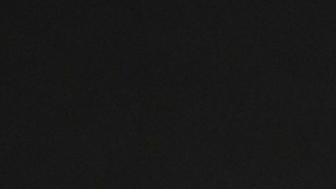 New York Red Bulls anunció la contratación del histórico Michael Bradley como su entrenador