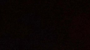 El NYPD aseguró que toda la disputa fue captada por las cámaras corporales de los agentes que se presentaron al sitio.