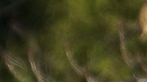 La mujer regresaba a New Haven, Connecticut, donde vivía tras asistir a un concierto de los cantantes R&B Trey Songz y Ne-Yo.