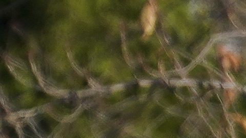 La mujer regresaba a New Haven, Connecticut, donde vivía tras asistir a un concierto de los cantantes R&B Trey Songz y Ne-Yo.