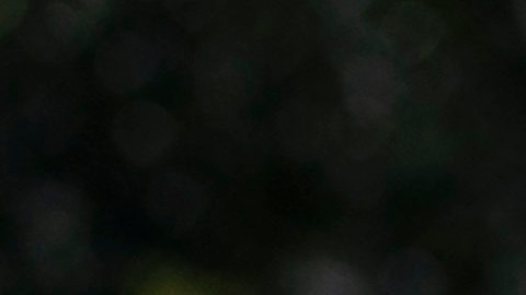 Autoridades buscan que los sospechosos sean juzgados como adultos.