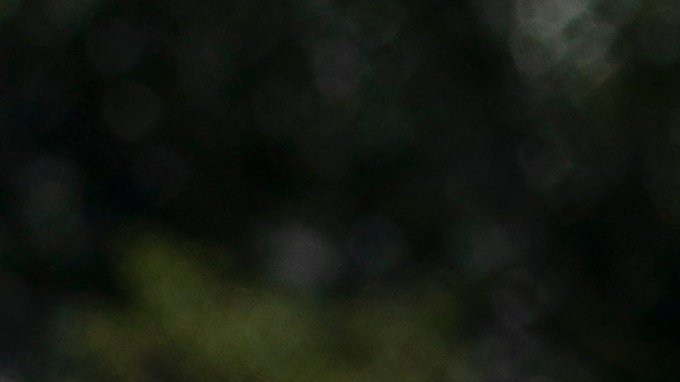 Autoridades buscan que los sospechosos sean juzgados como adultos.