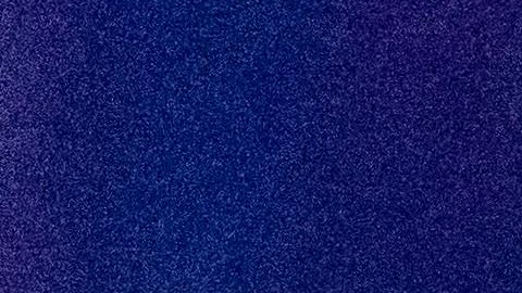 Uno de los objetos recuperados dentro del hogar de Hou incluía una patineta sangrienta.