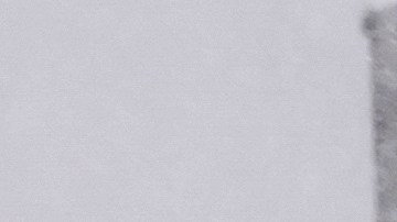 Los citadinos preocupados por las personas sin hogar que corren el riesgo de sufrir de hipotermia al aire libre pueden llamar al 311 para obtener ayuda.