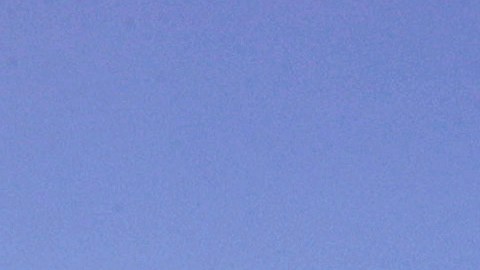 Las autoridades habían suspendido la búsqueda activa.