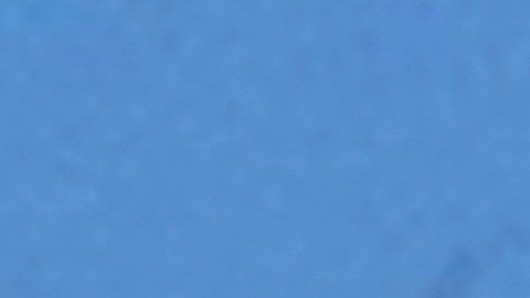 Estos drones han sido objeto de transacciones que superan los millones de dólares.