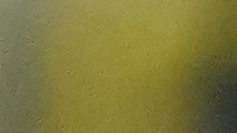 CORRECTS SPELLING OF NAME - Dortmund's Niclas Fuellkrug smiles before the German Bundesliga soccer match between Borussia Dortmund and FC Heidenheim in Dortmund, Germany, Friday, Sept. 1, 2023. (AP Photo/Martin Meissner)