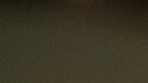 El comité señaló que el viaje se dio en una situación de "peligro extremo".