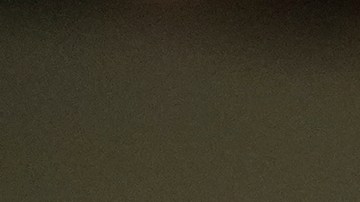 El comité señaló que el viaje se dio en una situación de "peligro extremo".