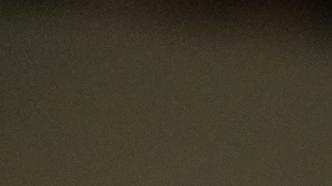 El comité señaló que el viaje se dio en una situación de "peligro extremo".