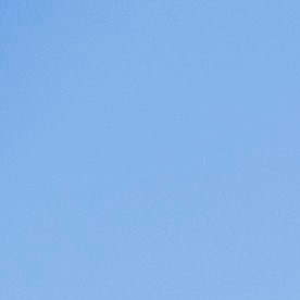 Foto referencial de inmigrantes pidiendo TPS en Washington en 2023.