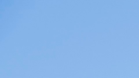 Foto referencial de inmigrantes pidiendo TPS en Washington en 2023.