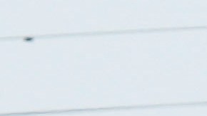 Foto referencial de la Guardia Costera de EE.UU. en Galveston, Texas.