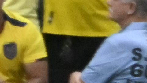 Ecuador confirma amistoso en el mes de marzo contra Países Bajos previo al Mundial 2026