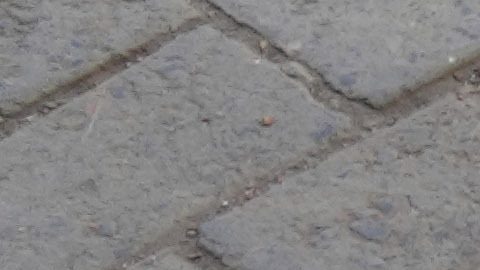 El departamento aseguró que no se arrestó a ningún funcionario estadounidense durante el proceso y que la operación no se llevó a cabo en una sede diplomática.