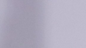 Edmundo González (derecha) y la líder opositora María Corina Machado se toman de la mano durante una conferencia de prensa al día siguiente de las elecciones en Caracas, Venezuela, el lunes 29 de julio de 2024.