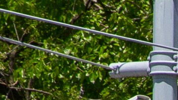 Esta última muerte se produce más de dos semanas después de que otro detenido de Rikers Island, Edwin Ramos, muriera en Otis Bantum.