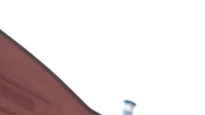 Los abogados alegaron que no pudieron comunicarse con sus clientes encarcelados en 26 Federal Plaza.