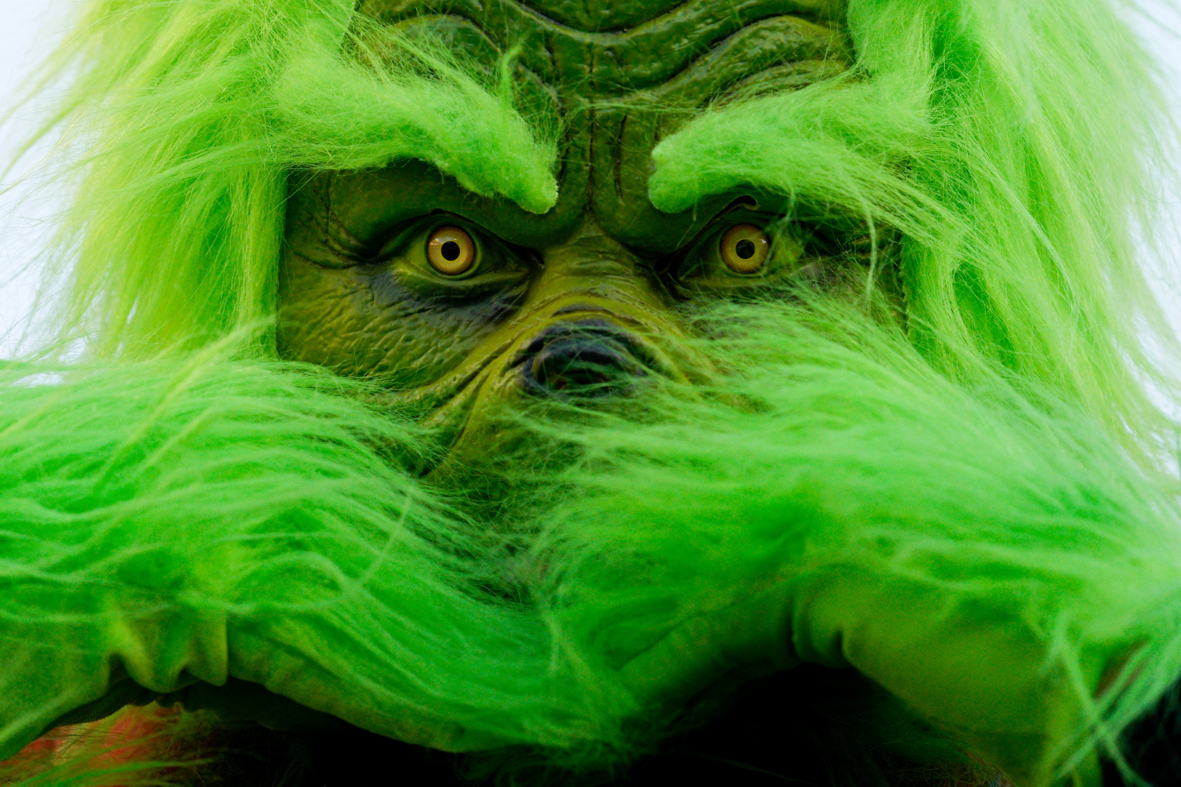 El Grinch”, conoce la verdadera historia detrás del clásico protagonizado  por Jim Carrey - El Diario NY, image size:4096x2730