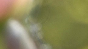 La lucha de Vizguerra para evitar la deportación podría seguir por varios años.