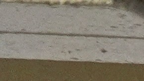 Hasta el momento no se han realizado detenciones en lo que va del día.