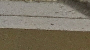 Hasta el momento no se han realizado detenciones en lo que va del día.