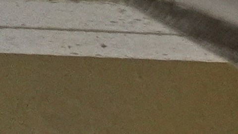 Hasta el momento no se han realizado detenciones en lo que va del día.