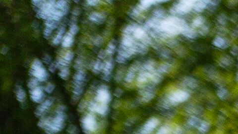 Deportaciones de venezolanos a CECOT en El Salvador