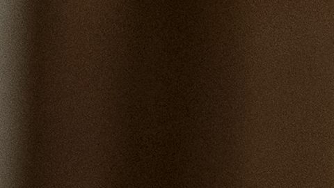 Collins expresó que un asunto que el grupo discutió sobre la posibilidad de extender la inscripción abierta de ACA.