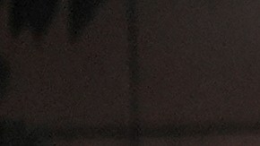 Más de 4,000 soldados fueron desplegados inicialmente.