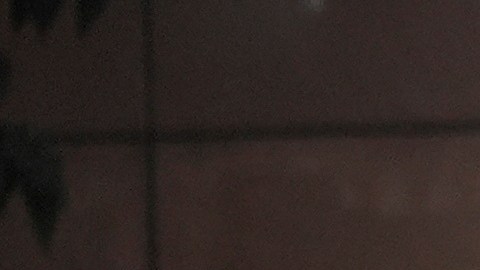 Más de 4,000 soldados fueron desplegados inicialmente.