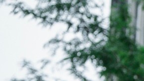 Brad Lander es el Contralor de la ciudad de Nueva York.