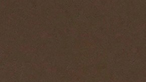 Oleksandr Usyk ya negocia con Dqeontay Wilder.