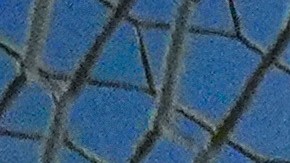 A shot by FC Dallas forward Logan Farrington, center, enters the net of New York City FC goalkeeper Matt Freese for a goal during the first half of an MLS soccer match Friday, July 25, 2025 in Frisco, Texas. (AP Photo/Julio Cortez)