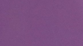 Herzog afirmó que actualmente la "ola de antisemistismo institucional" en Nueva York es "inquietante".