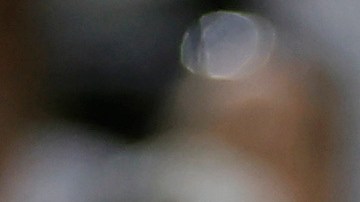 Aaron Judge y Cody Bellinger.