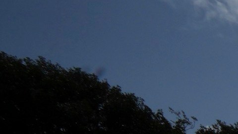 Un activista del grupo de protesta Everyone Hates Elon colocó un cartel del presidente Donald Trump y Jeffrey Epstein, antes de la visita de Estado del presidente estadounidense Donald Trump, en Windsor, Inglaterra, el lunes 15 de septiembre de 2025.