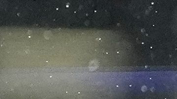 5,000 atletas participarán en los Juegos Hispanos de Apple Bank en Nueva York