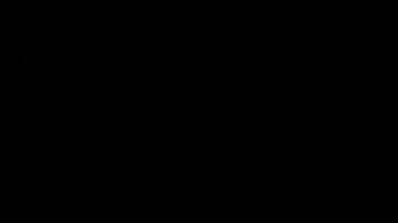 Thomas Müller considera que la final de la MLS Cup "es la más importante de su carrera"