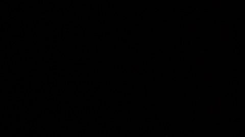 Thomas Müller considera que la final de la MLS Cup "es la más importante de su carrera"