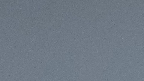 Según registros de la Southern Border Communities Coalition 351 personas han fallecido como resultado de enfrentamientos con agentes de la CBP.