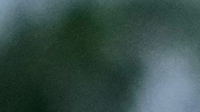 Agentes de la Patrulla Federal y la policía del Sheriff del Condado de Cook se encuentran cerca de la entrada de un centro de procesamiento de ICE. Imagen referencial.